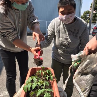 line_145819798866351