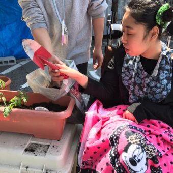 line_145820143659163