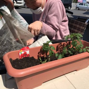 line_145820630848694